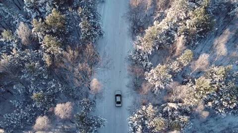 Top view of a road in the forest and moving cars along it. A drone flies up over Stock Footage 260375411