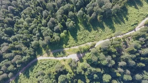 Top view of the road in the forest Stock Footage 107828145