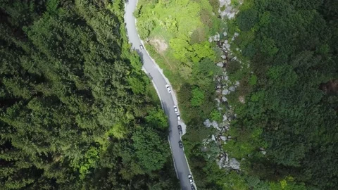 Top View of the Road in the Forest Stock Footage 237986570
