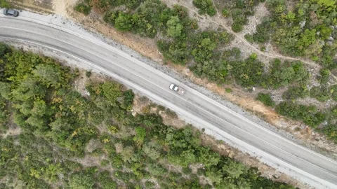 Top view of road inside the forest with car driving Video stock 289580661