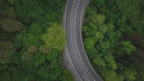 Top view of the road through the trees and the field. drone view Stock Photos
