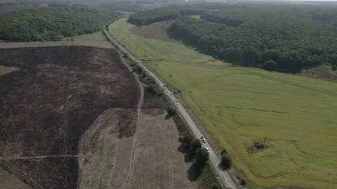 Top view of the road on which cyclists ride Stock Footage 219688192