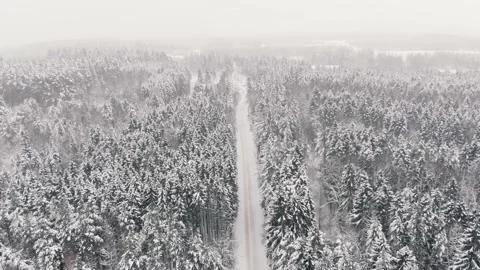 Top view of road in winter snow-covered forest Video stock 154748148