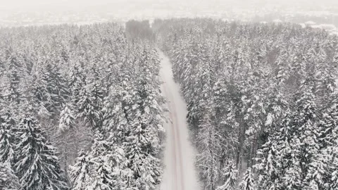 Top view of road in winter snow-covered forest Stock Footage 156501484