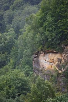 Top view of the rocky cliffs with trees of the North Caucasus in Russia. Foto stock