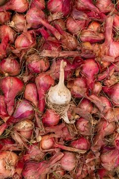 Top view of root vegetables and vegetables onion and garlic. harvest fresh Stock Photos