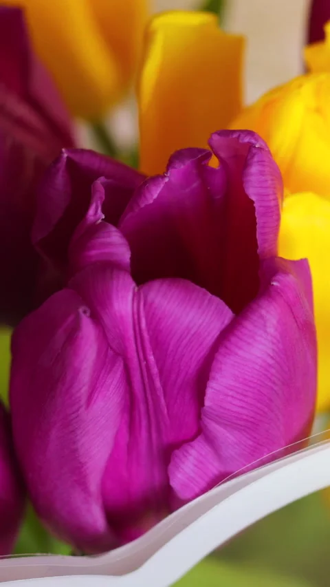 Top View Of Rotating Of Beautiful Wrapped Bouquet Of Purple And Yellow Tulips Na Video stock 268109880