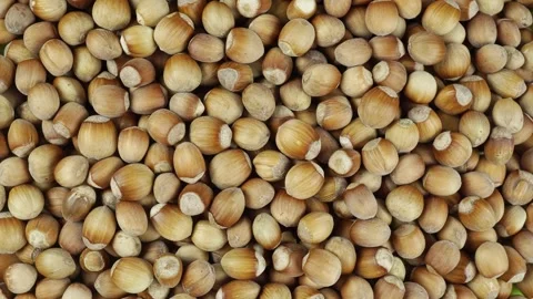 Top View of Rotating Hazelnut In Shell. Stock-Footage 250229682