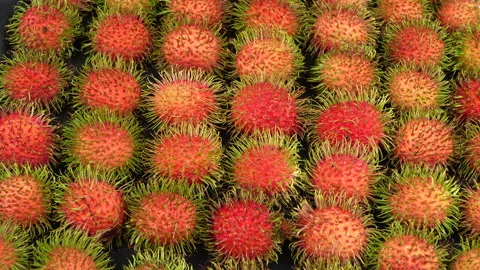 Top View of Rotating Ripe Rambutans Neatly Arranged on Black Background Stock Footage 336320561
