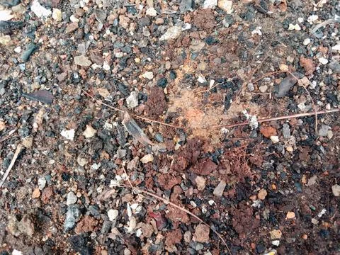Top view of rough earth ground with gravel and debris. Stock Photos