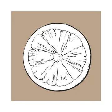 Top view round slice, half of ripe grapefruit, orange Illustrazione stock