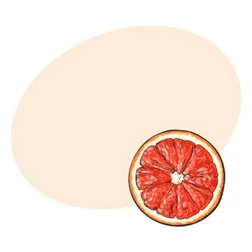 Top view round slice, half of ripe grapefruit, red orange Stock Illustration