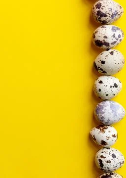 Top view ,Row of small speckled Quail eggs on yellow background. Minimal Happy Stock Photos