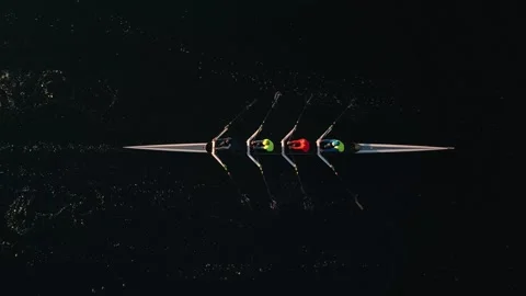 Top view of rowing team rowing in an ocean bay at a beautiful sunrise Halifax Stock Footage 263131975