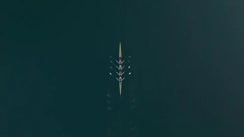 Top View Rowing Team Of Young Athletes In Halifax Bay At Sunrise Stock Footage 319949521