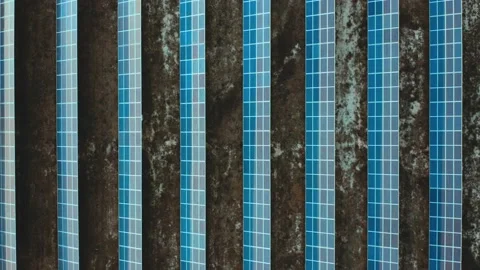 Top view of the rows of solar panels for the production of renewable electricity Stock-Footage 231813708