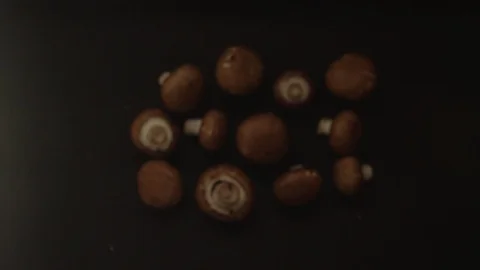 Top view royal champignons fly in slow motion on camera Stock Footage 116249375