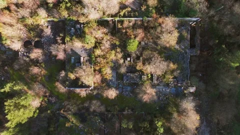 Top View Of Ruins Covered With Growing Trees Stock Footage 300098075