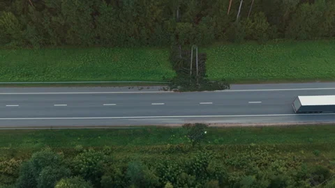 Top view of rural highway beside dense forest with passing truck and fallen Stock Footage 345535876
