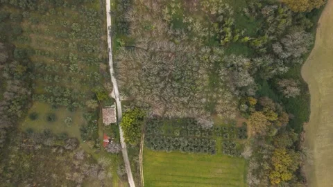 Top view of rural landscape and fields in Italy Stock Footage 263241995