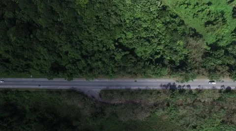 Top View of Rural Road Stock Footage 63146893