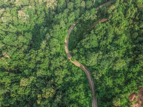 Top View of Rural Road, Path through the green forest and countryside of Thai 写真素材
