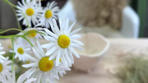 Top view of a rustic table set for floral arrangement. Ceramic vase, kenzan, fre Stock Footage 313080816