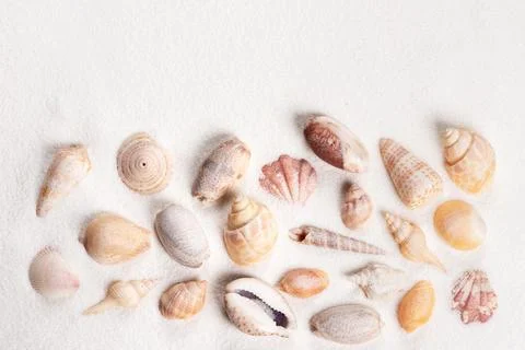 Top view of sandy background with seashells 스톡 사진