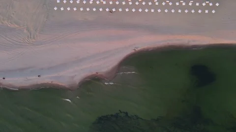 Top view of sandy beach on the sea coast with umbrellas and forest at sunset Stock Footage 155711334