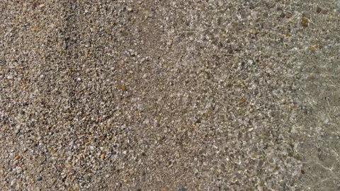 Top View of Sandy Ground Meeting Grassy Terrain Border Stock Footage 342221895