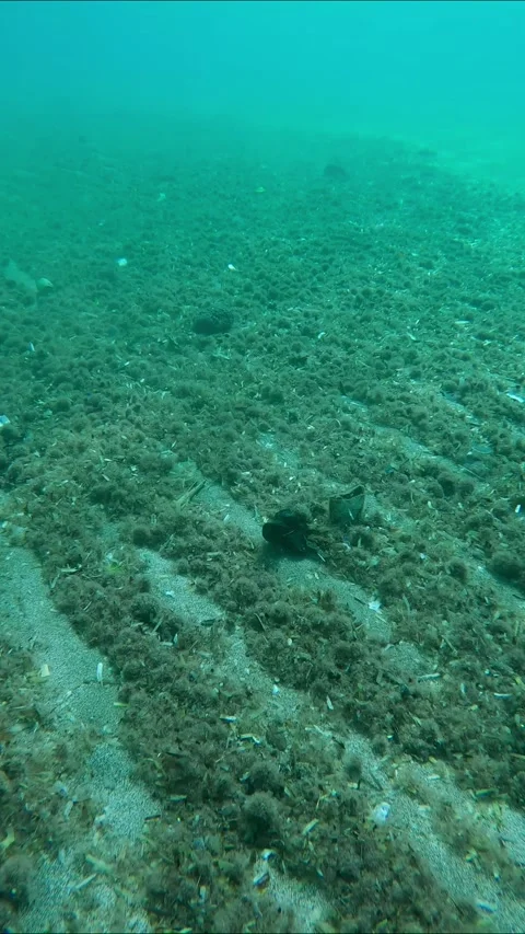 Top view of sandy sea bottom covered with a lot of small plastics and other Stock Footage 255112745