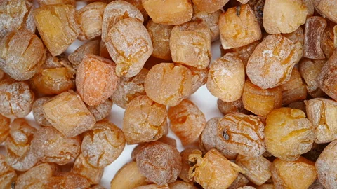 Top view scallop pause and rotating Stock Footage 121829221