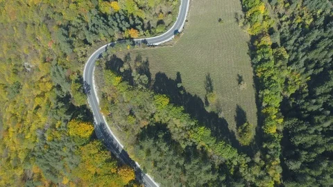 Top view of scenic mountain road going trough golden forest in the mountains Video stock 119328050