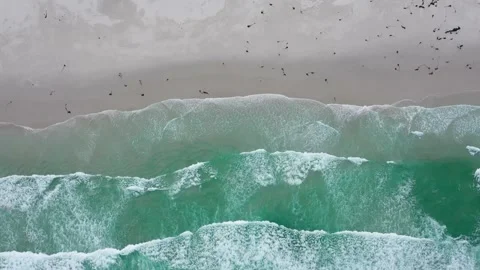 Top view of sea coast with waves Видео 156545450