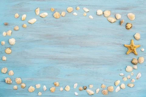 Top view of sea shell on light blue wood for summer vacation time background Stock Photos