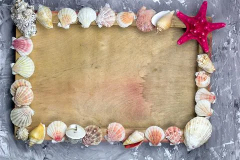 Top view sea shells frame and wooden round empty board with place for text Stock Photos