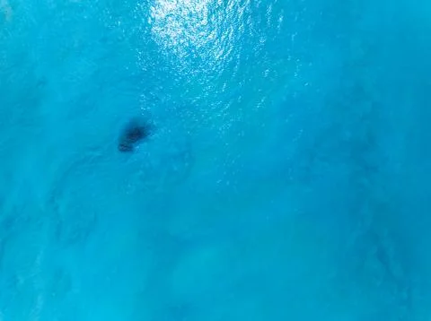 Top view sea surface waves texture background Photos