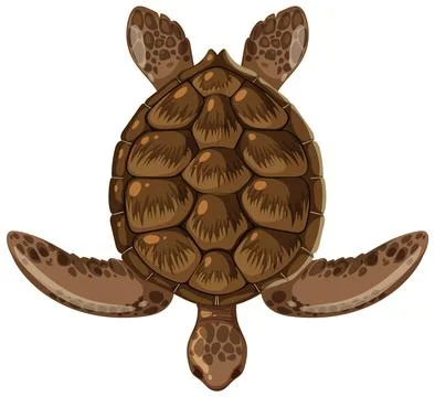 Top View of a Sea Turtle Stock Illustration