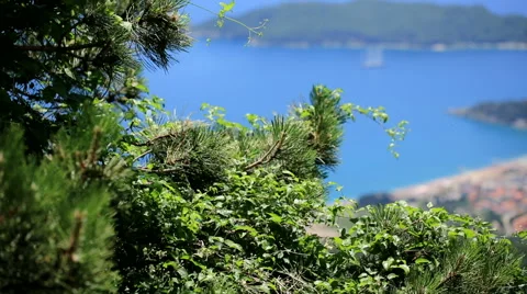Top view of the seacoast of Budva Stock Footage 52532866