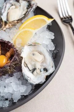 Top view of seafood platter: shellfish, oysters, sea urchin and balsamic sauc Stock Photos