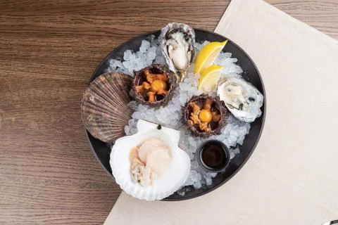 Top view of seafood platter: shellfish, oysters, sea urchin and balsamic sauc Stock Photos