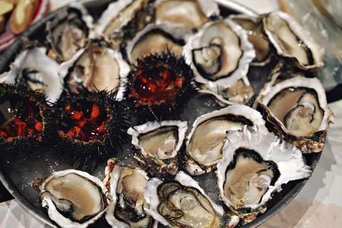 Top view of seafood platter: shellfish, oysters, sea urchin Stock Photos