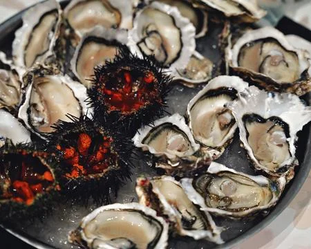 Top view of seafood platter: shellfish, oysters, sea urchin 写真素材