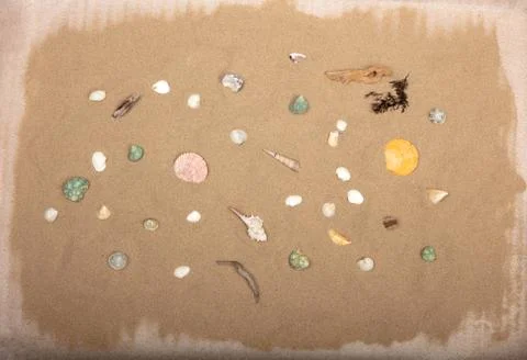 Top view of seashells on sand background Stock Photos