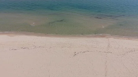 Top view of seaside building and arranged beach loungers Video stock 332247152