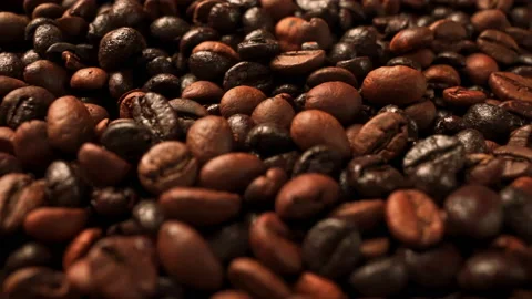 Top view on seed coffee Stock Footage 152043762