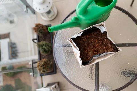 Top View of Seeding Pot with Grain and Watering Can on Balcony Stock Photos