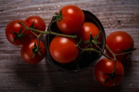Top view on several cherry tomatoes on green twig in vintage metal can Stock Photos