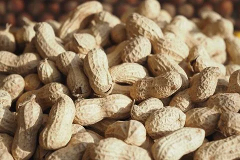 Top view of Several peanuts in a basket. Stock Photos