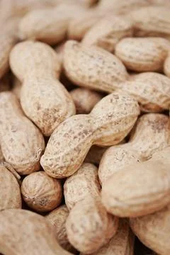 Top view of Several peanuts in a basket. Stock Photos